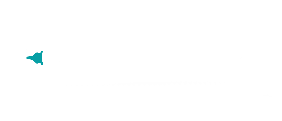 Fine line Düsensatz CRplus